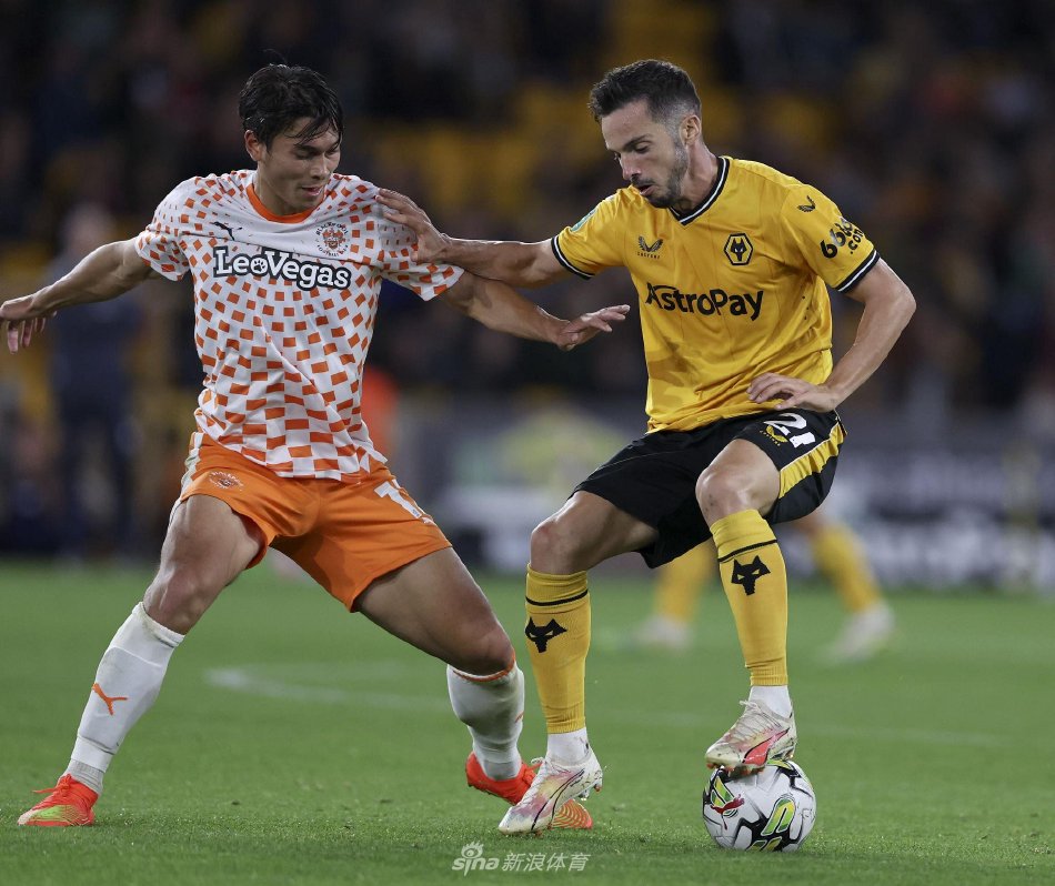 使得哈兰德 使得哈兰德