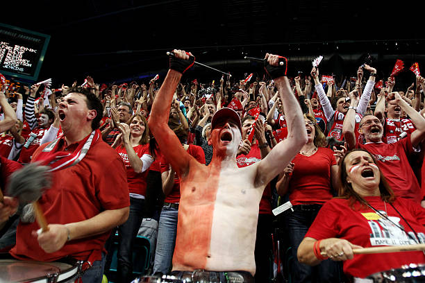 感情多年来 感情多年来