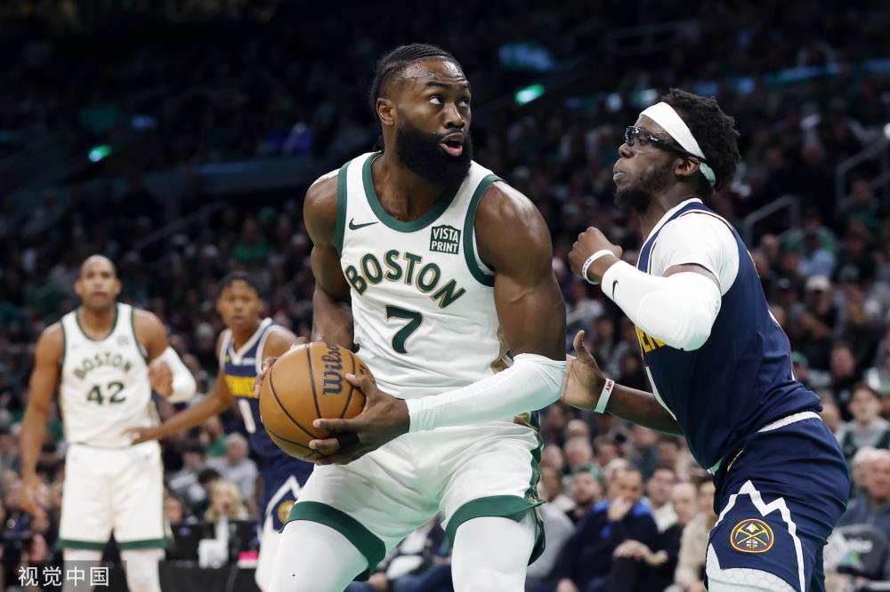 网站收录的 网站收录的